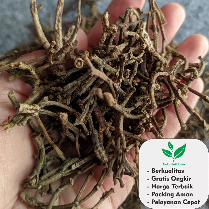 

1 Kg Gagang bagal Batang cengkeh kering premium asli original Kualitas Murni Terjamin