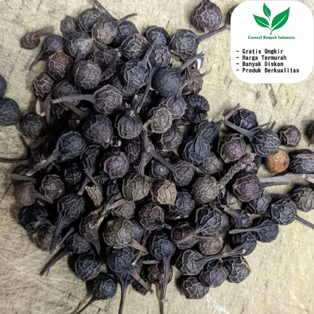 

Biji Kemukus 100 Gr organik herbal