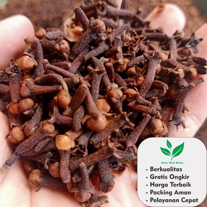

100 Gr Cengkeh Cengkih Kering Original Asli Untuk Bumbu Masak Dapur Atau Minuman Herbal
