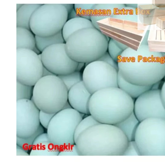 

Telur bebek mentah murah Langsung dari kandang gratis kemasan extra BOX aman