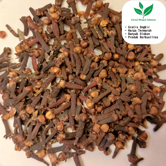 

Cengkeh Cengkih Kering 100 Gr Original Asli Untuk Bumbu Masak Dapur Atau Minuman Herbal