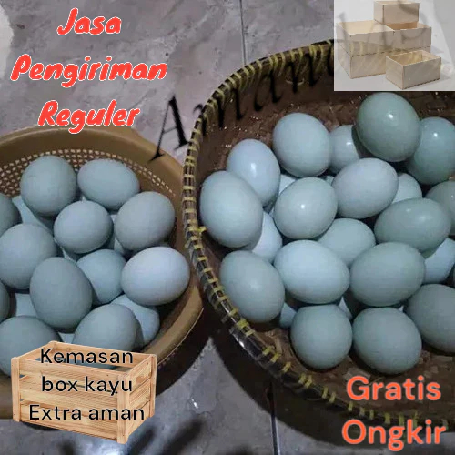 

Telor bebek mentah murah Langsung dari kandang gratis kemasan extra BOX