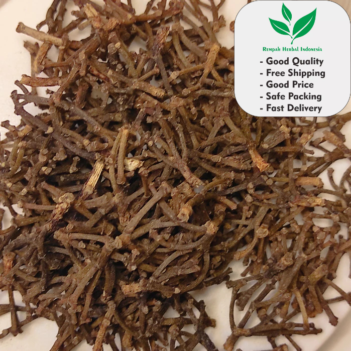 

1 Kg Gagang Batang Cengkeh Kering Organik Kualitas Premium Cocok Untuk jamu maupun minuman Herbal