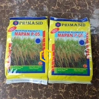 

BENIH UNGGUL padi mapan P05. jenis padi hibrida kualitas primasid 1kg hemat urea!