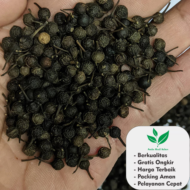 

Biji Kemukus Kering 10 Gr Organik Kualitas Terbaik Termurah