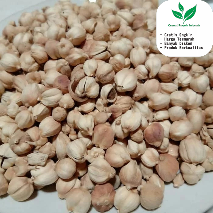 

1 Kg kapulaga kapulogo kering kapolaga kapologo jawa original Murni Tanpa Pemutih