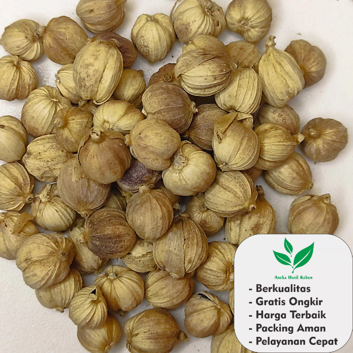 

100 Gr Kapulaga Kapulogo kapol kapologo Jawa Organik Kering Kualitas Terbaik Langsung Dari Petani