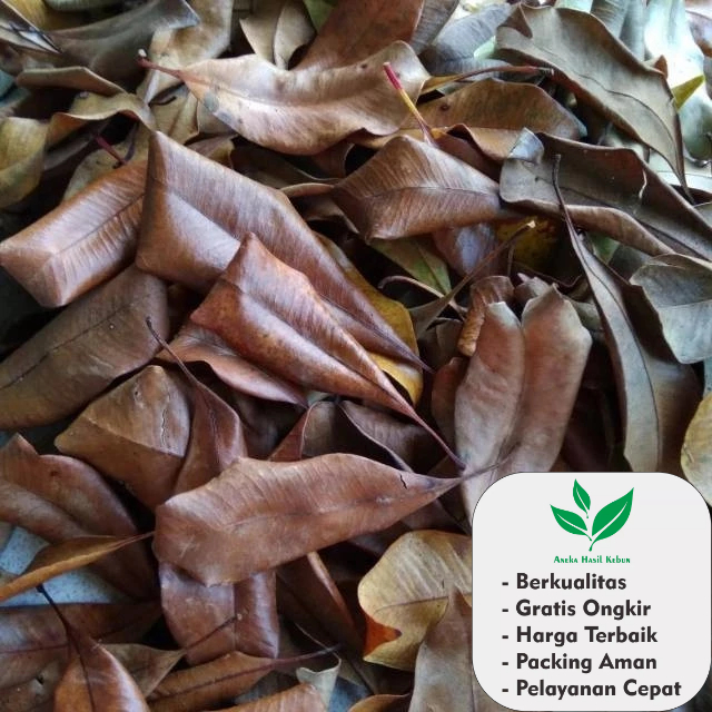 

100 Gr Daun Cengkeh Kering Kualitas Premium untuk minuman dan masakan herbal