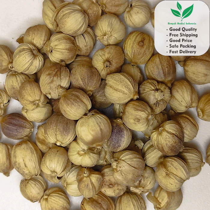 

Kapulaga Jawa kering 100 Gr Organik Premium