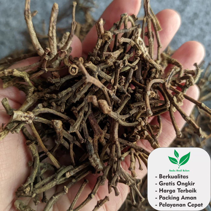 

100 Gr Batang Gagang Cengkeh Kering organik Kualitas Terjamin Bahan Wedang Uwuh