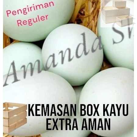 

Telur bebek mentah langsung dari ternak gratis packing extra Box