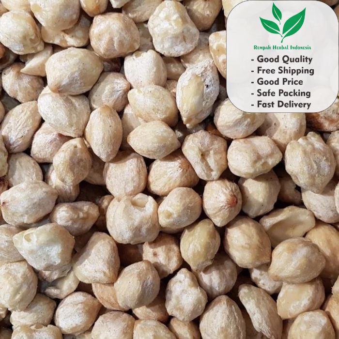 

Kemiri Bulat Utuh 1 KG Kualitas Premium