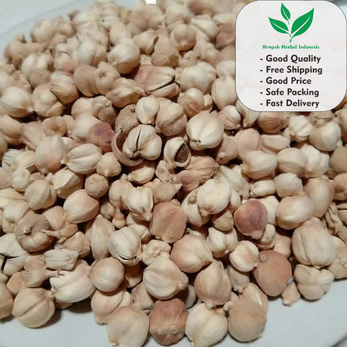 

Kapulaga Cardamomum 100 Gr Rempah Organik Premium
