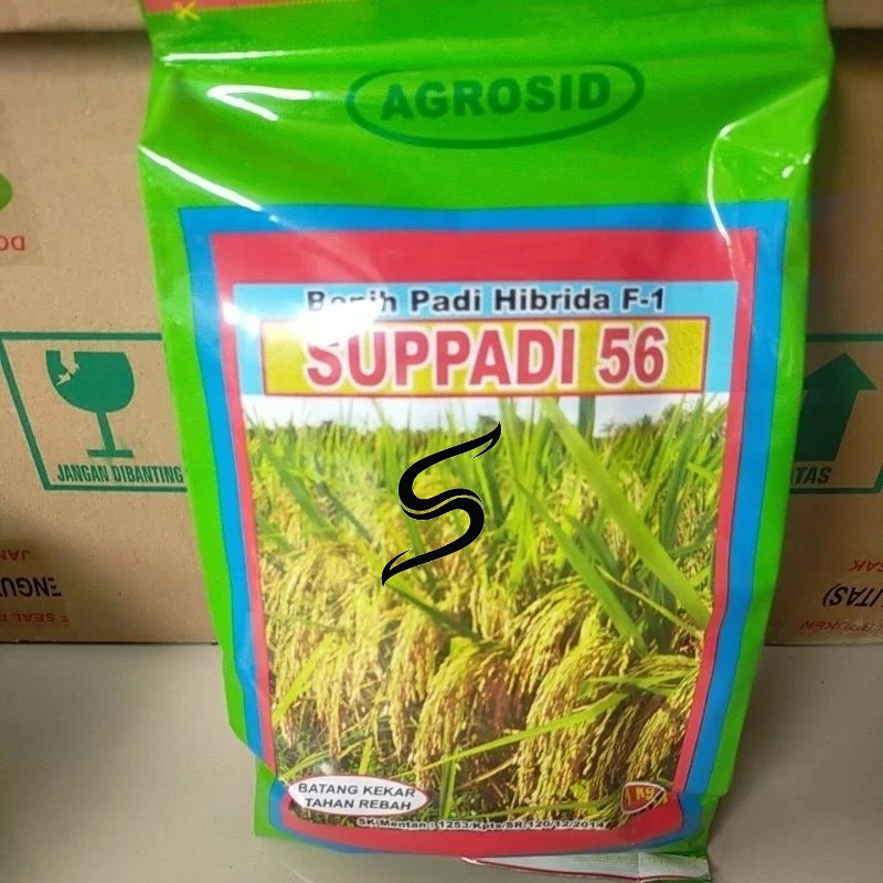 

Padi Hibrida Supadi 56 Barang JAMINAN ORI 100% Exp 08_ 09 2026