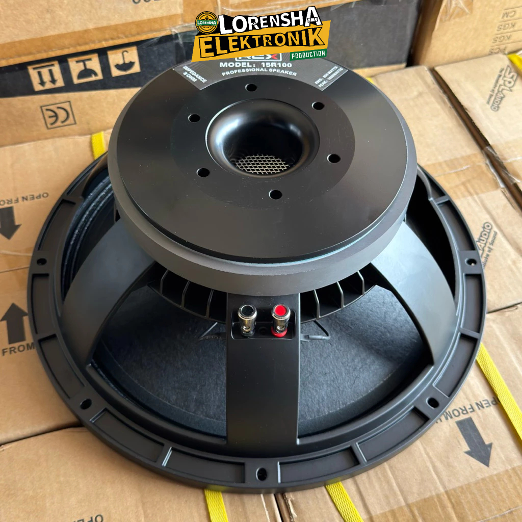 Speaker 15 Inch RCX 15R100 Subwoofer