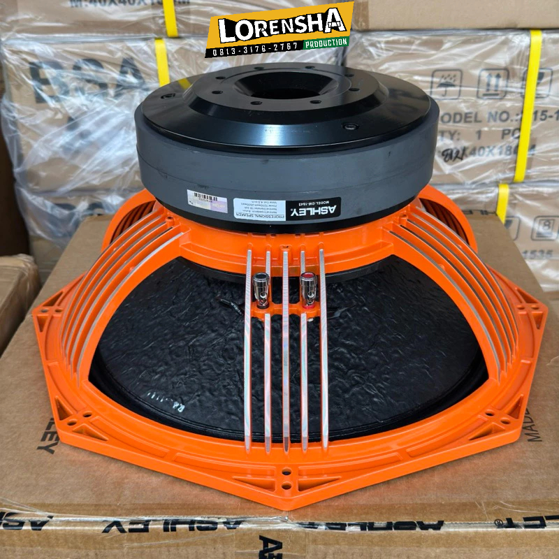 Speaker 18 Inch Ashley DM1845 Double Magnet