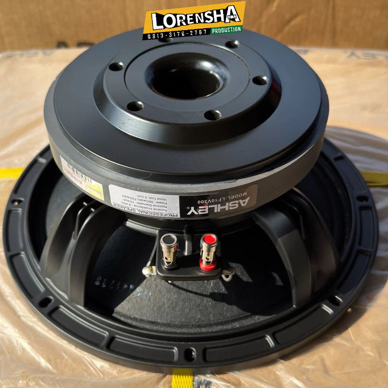Speaker Ashley 10 Inch LF10V300 Original