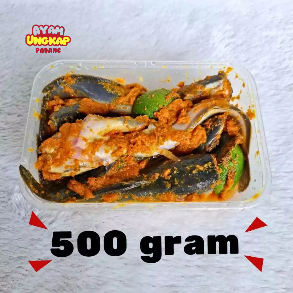 

Ikan Lele Bumbu Kuning Organik Tanpa Msg Pengawet Kota Padang - 500gram