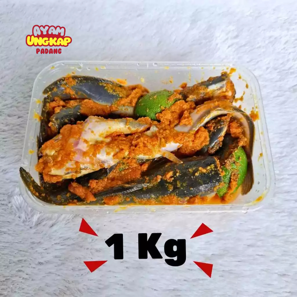 

Ikan Lele Bumbu Kuning Organik Tanpa Msg Pengawet Kota Padang - 1 kg