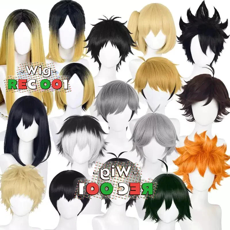 M- Wig Tadashi Yamaguchi Kotaro Bokuto Kiyoko Shimizu Shoyo Hinata Sugawara Koushi Oikawa Tooru Kuro