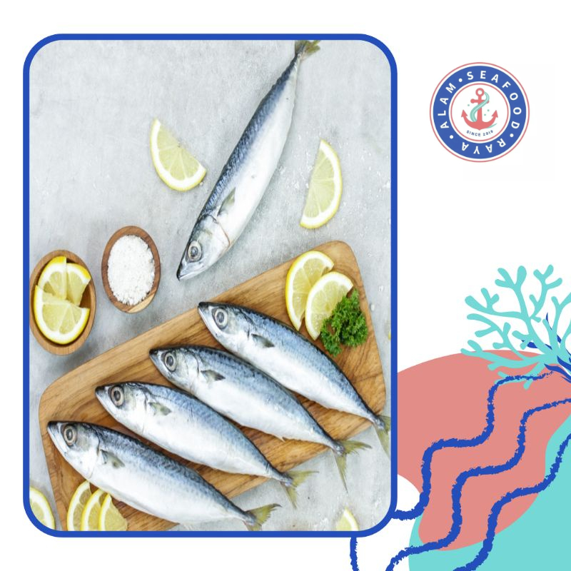 Ikan Salem Frozen