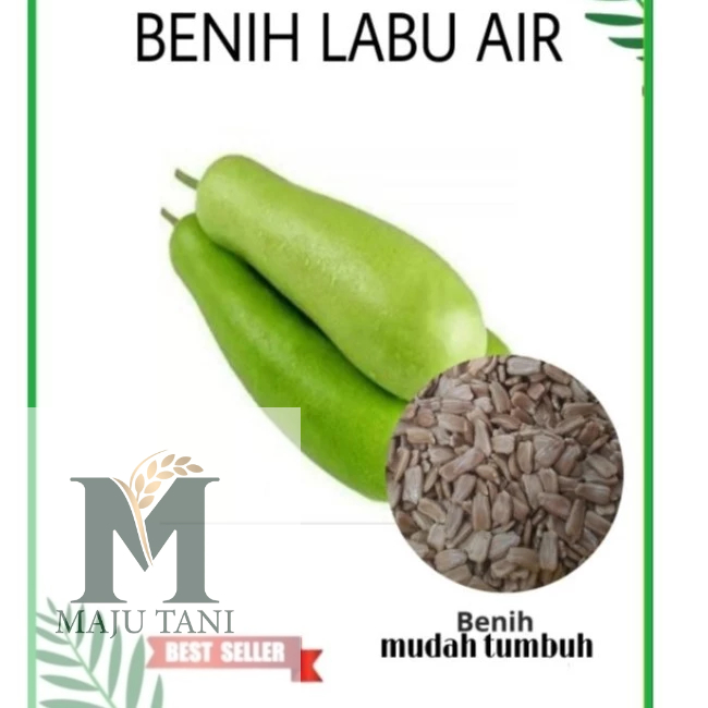 ( 10 Butir ) Benih Labu Putih Panjang | Blonceng | Labu Air | Labu Sayur | Kukuk