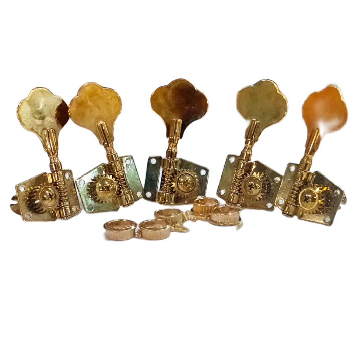 Dryer Bass 5 senar R3 L2 Jazz Bass