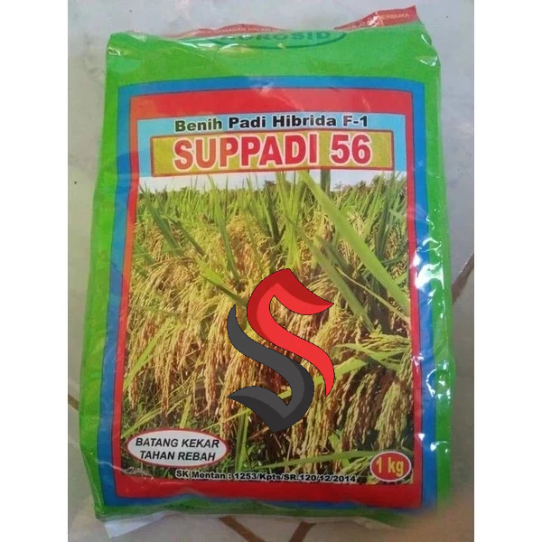 PROMO HEMAT=>Benih Padi HIBRIDA SUPPADI 56 / Benih Padi Supadi 56 BISA (COD)
