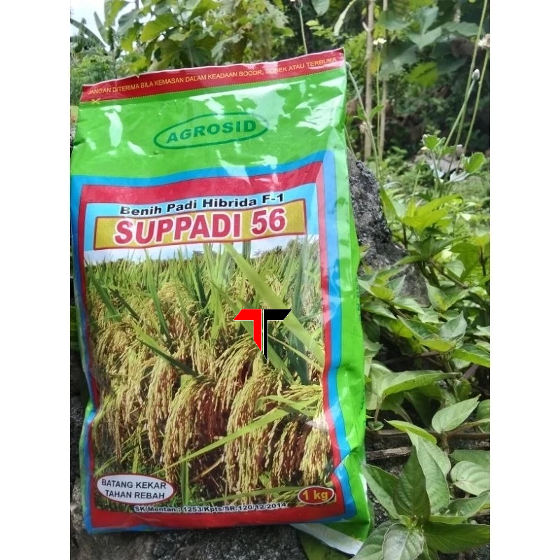 

SPECIAL DISKON!! Supadi 56 F1 1 Kg Benih Padi Hibrida Agrosid BISA (COD)