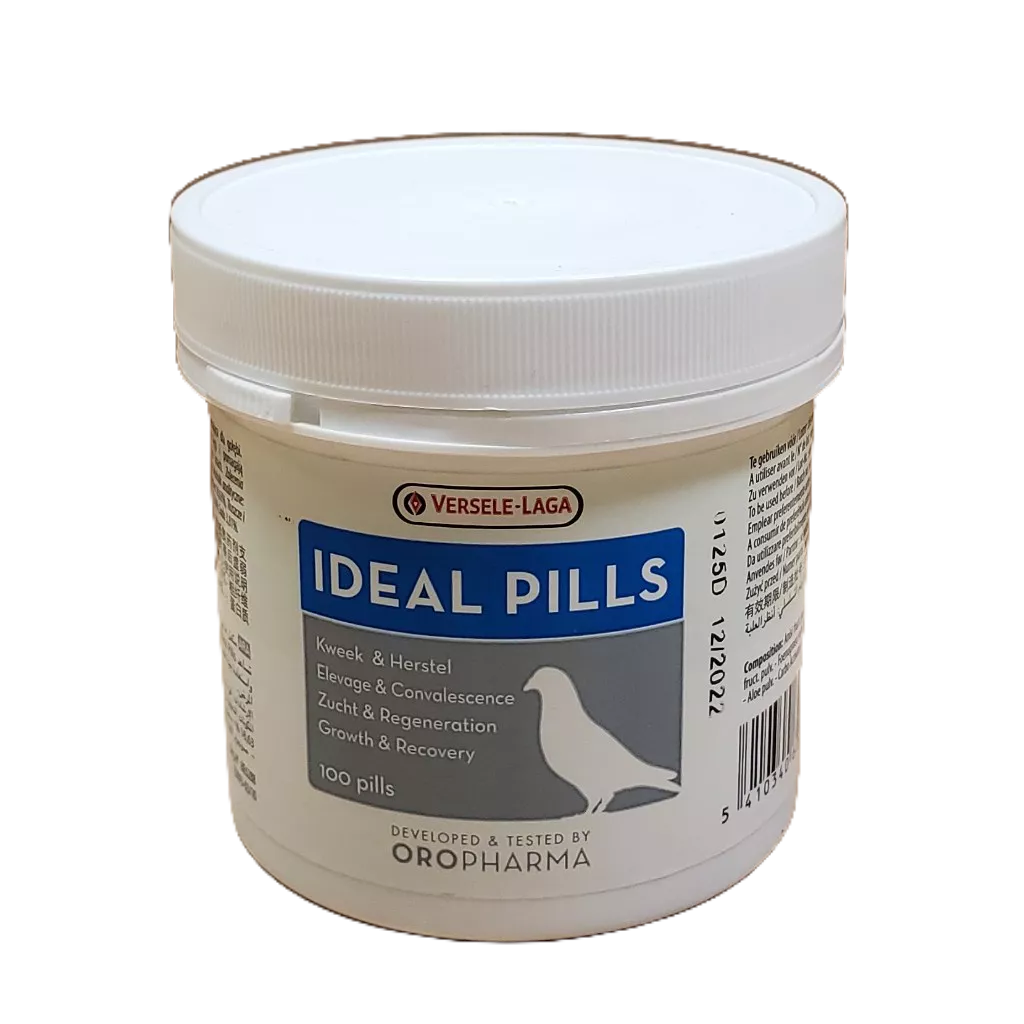 IDEAL PILL VERSELE LAGA VITAMIN PIL PILS PILLS BURUNG MERPATI KOLONG BALAP DOPING