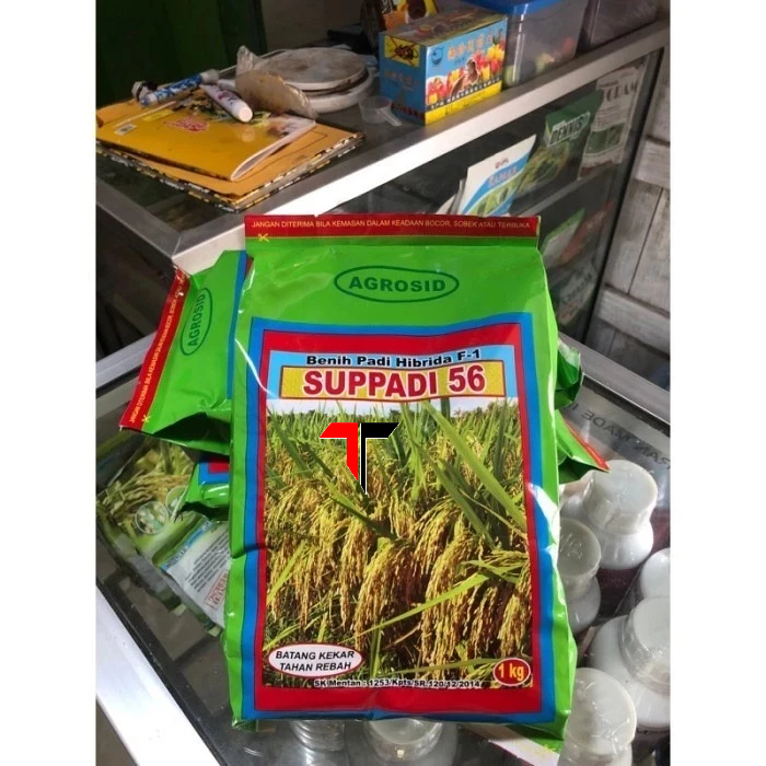 

SPESIAL DISKON HEMAT!!!! BIBIT BENIH PADI HIBRIDA F1 SUPPADI 56 1KG BISA (COD)