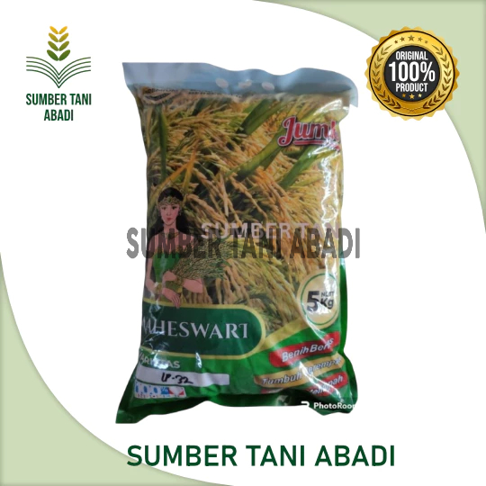 benih padi MAHESWARI - INPARI 32- BENIH PADI SUBANG-  ISI 5KG