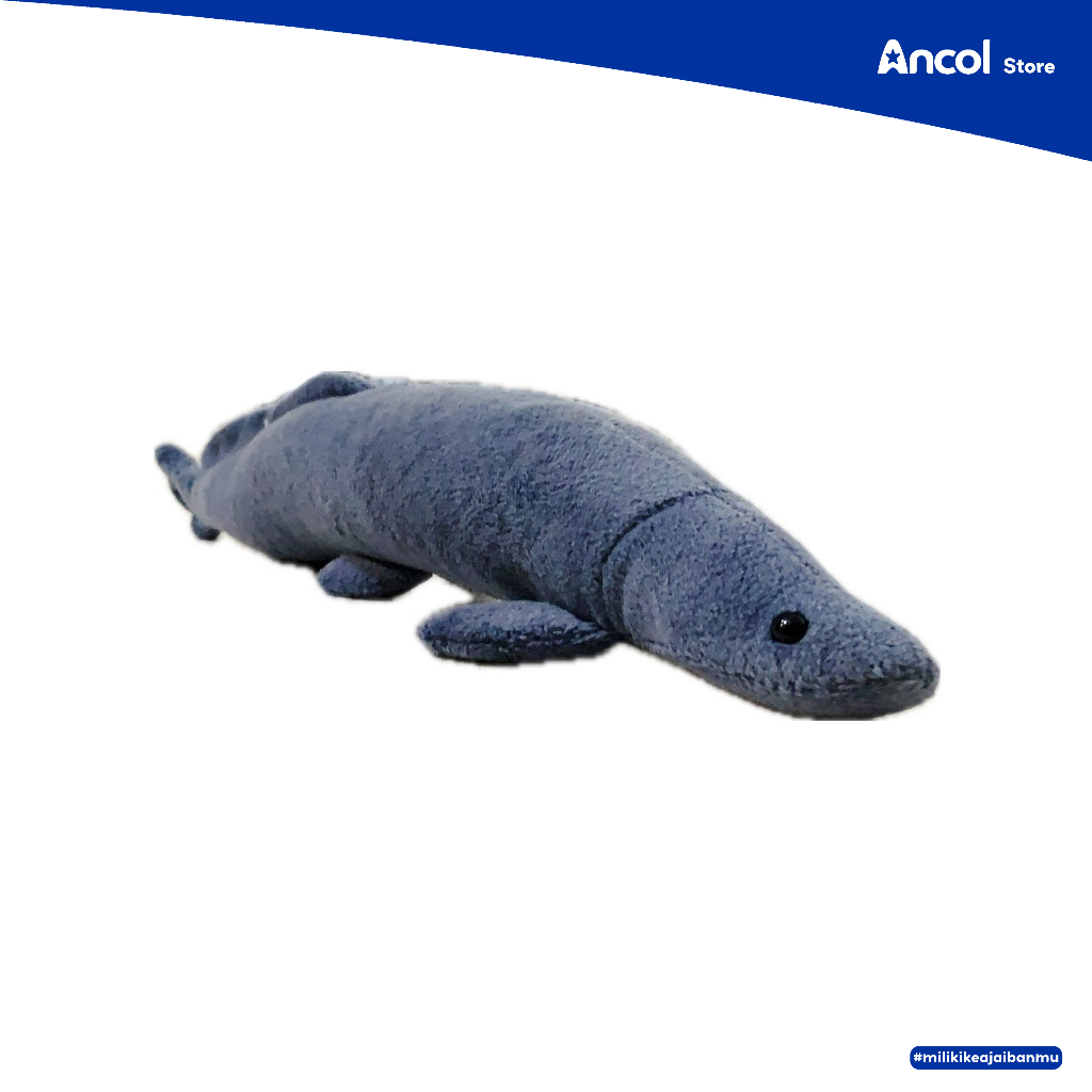 Ancol Boneka Karakter Arapaima 20cm | Boneka Ikan Karakter Lucu & Lembut | Official Merchandise