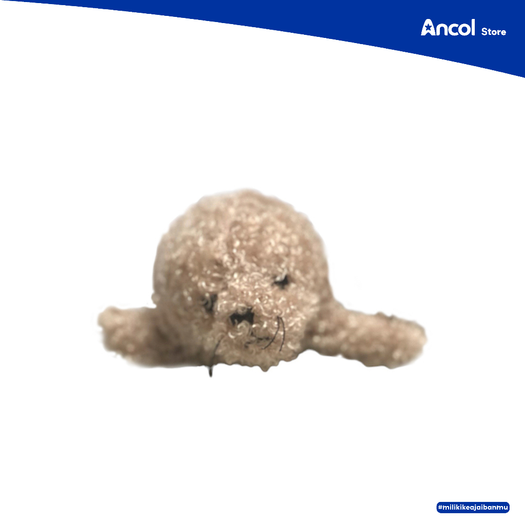 Ancol Boneka Karakter Singa laut |  Boneka Anak Monk Seal | Official Merchadnise