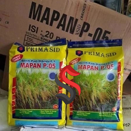 

PAKET HEMAT=> Benih Padi Hibrida Mapan P-05 Primasid Expt 6 -- 6 2027/ Bagus Pengiriman Seluruh INDONESIA