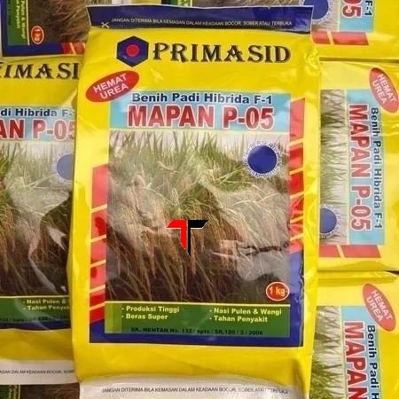 

MAPAN P-05 F1 - Benih biji bibit Padi Hibrida beras super, nasi pulen wangi , tahan penyakit