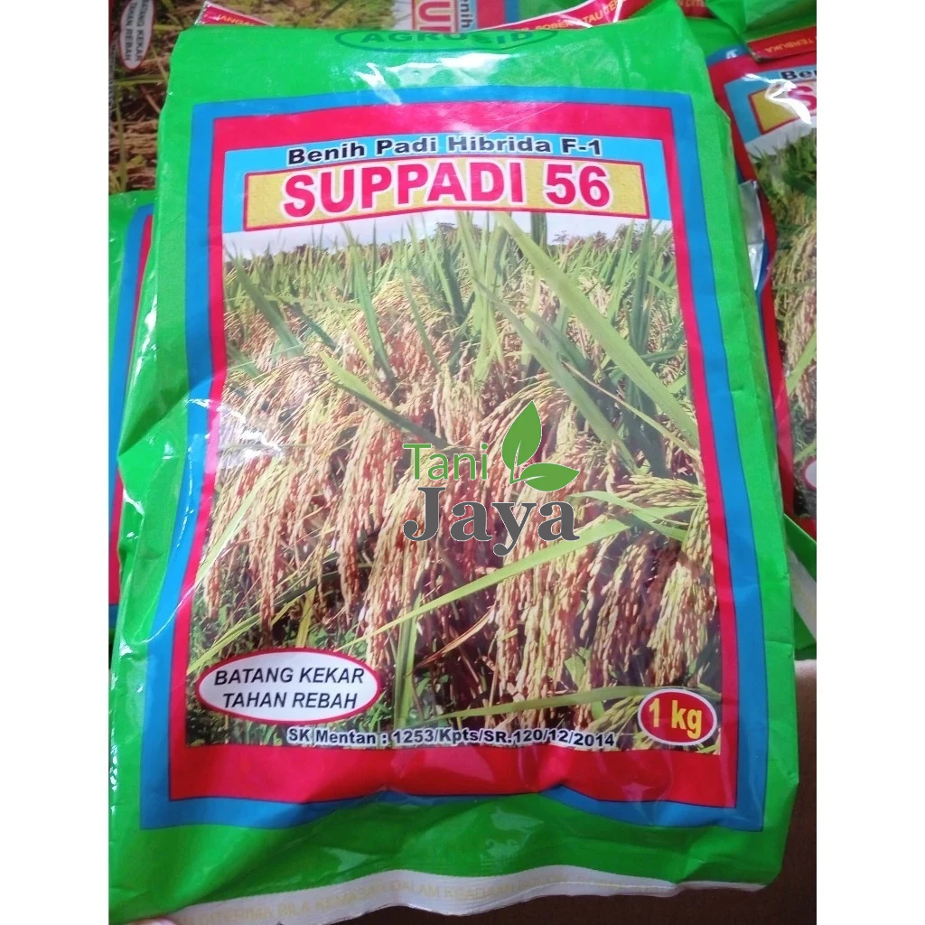 

PROMO SPESIAL BENIH PADI SUPADI SUPPADI 56 HIBRIDA F1 AGROSID TERMURAH