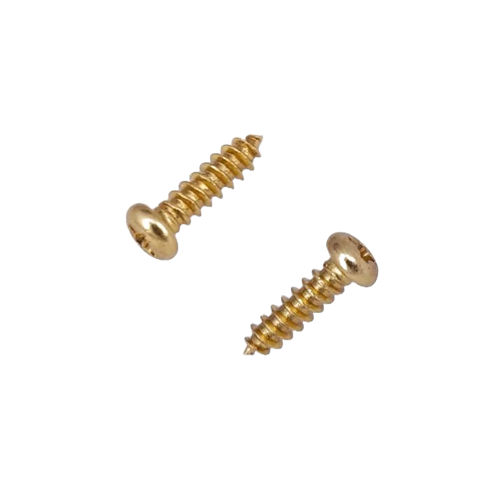 Tuning Machine Screw (Gold) / Skrup Gitar Dryer Tuning