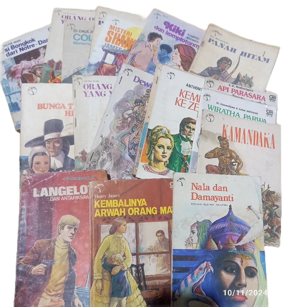 Novel indonesia lama cerita anak remaja seri elang