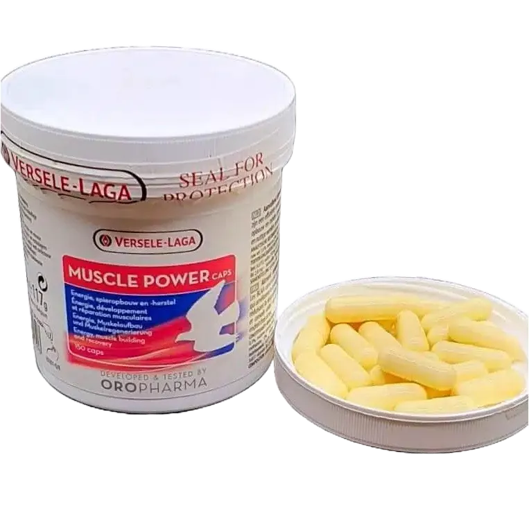 MUSCLE POWER VERSELE LAGA VITAMIN SAYAP TULANG KUAT BURUNG MERPATI PIL IMPORT BELGIUM