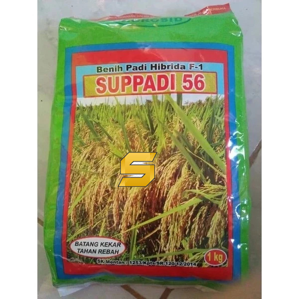 

DISKON TERBARU=> Benih Padi HIBRIDA SUPPADI 56 BISA (COD)