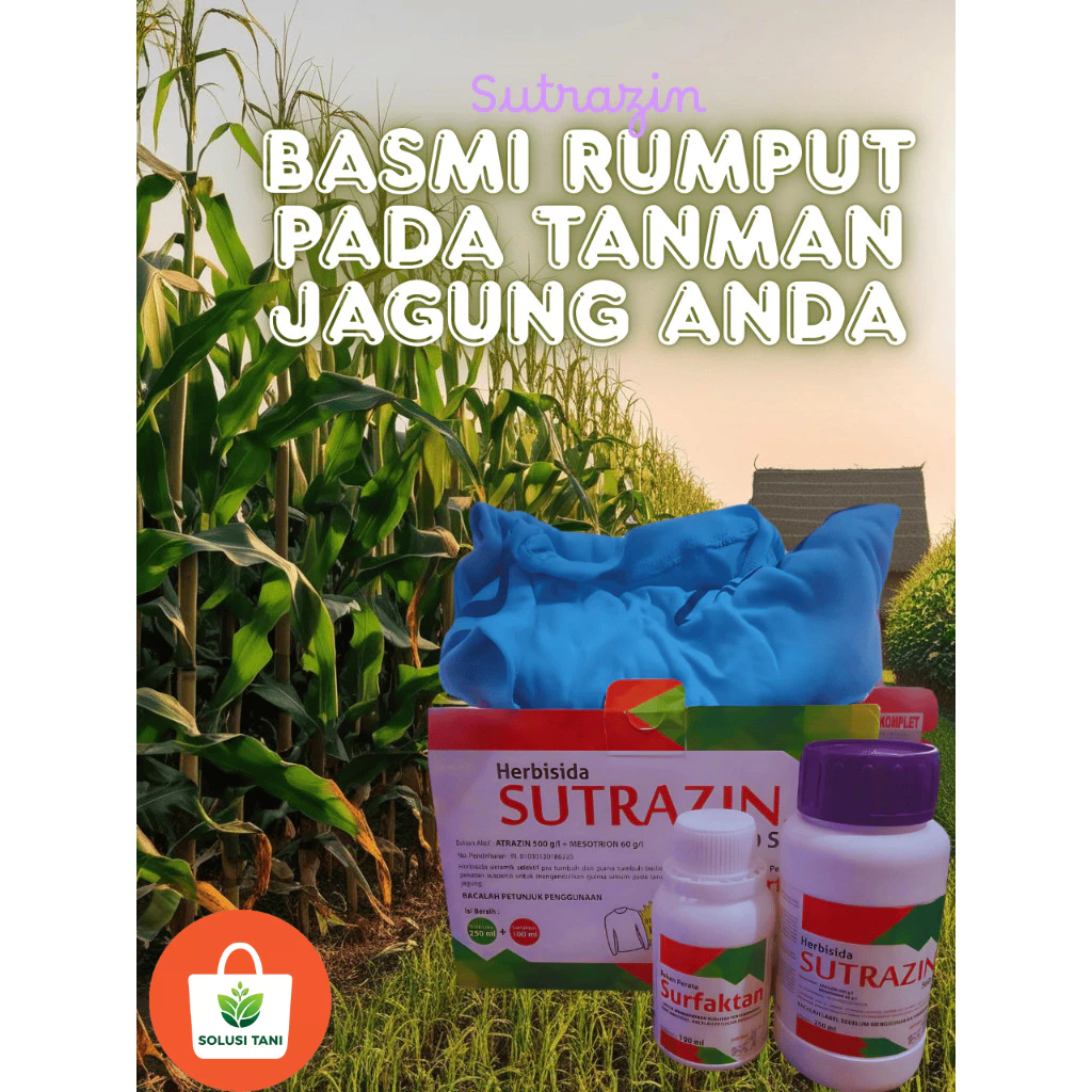 Herbisida Jagung Sutrazin 560 SC Pembasmi Gulma Ampuh & Aman untuk Jagung