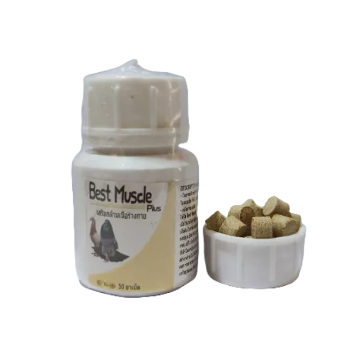 BEST MUSCLE PLUS VITAMIN SUPLEMEN PEMBENTUKAN MEMPERKUAT OTOT BURUNG MERPATI BALAP