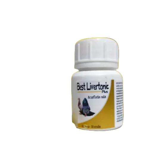 BEST LIVERTONIC PLUS VITAMIN LIVER PENETRAL RACUN OBAT BURUNG MERPATI BALAP