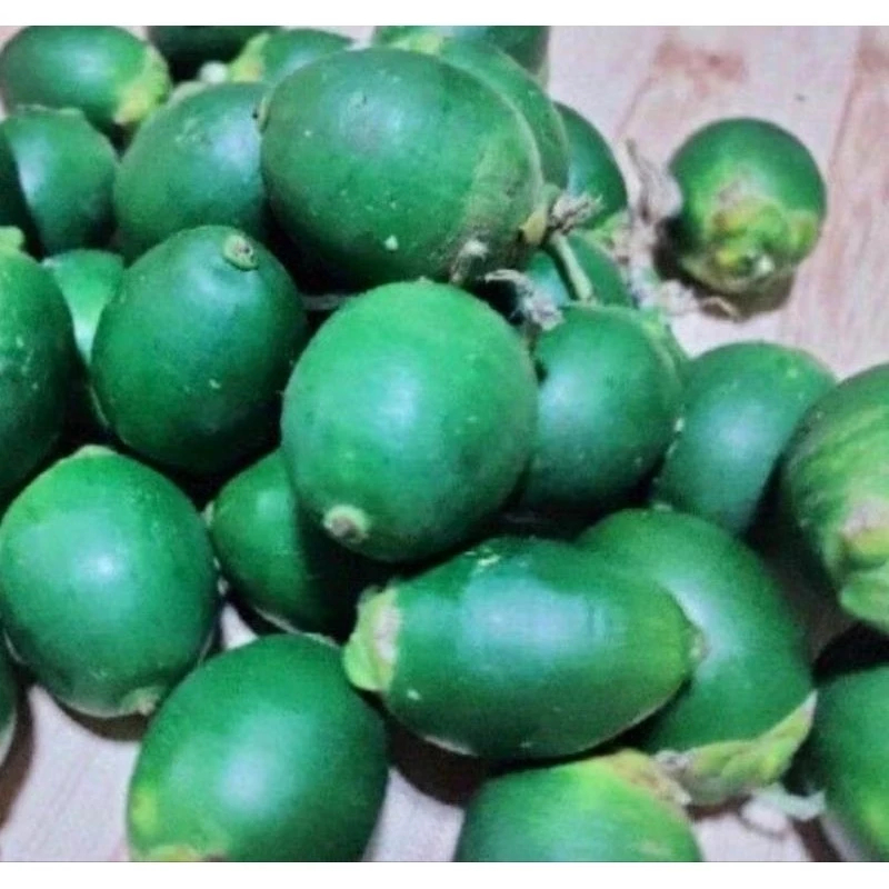 pinang muda, buah pinang muda