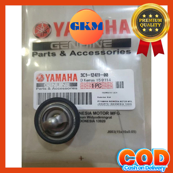 termostat vixion old vixion new mx king R15