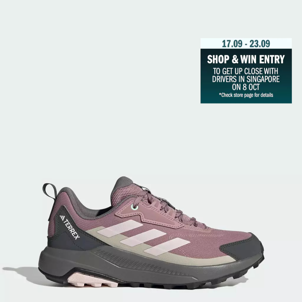 adidas Hiking Terrex Anylander Hiking Shoes Women Purple KJ0869