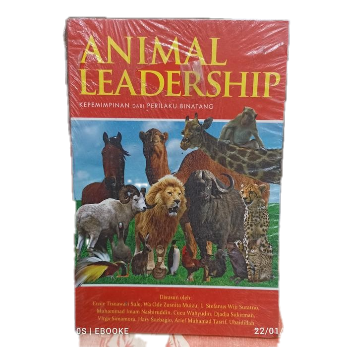 animal leadership kepemimpinan dari perilaku binatang