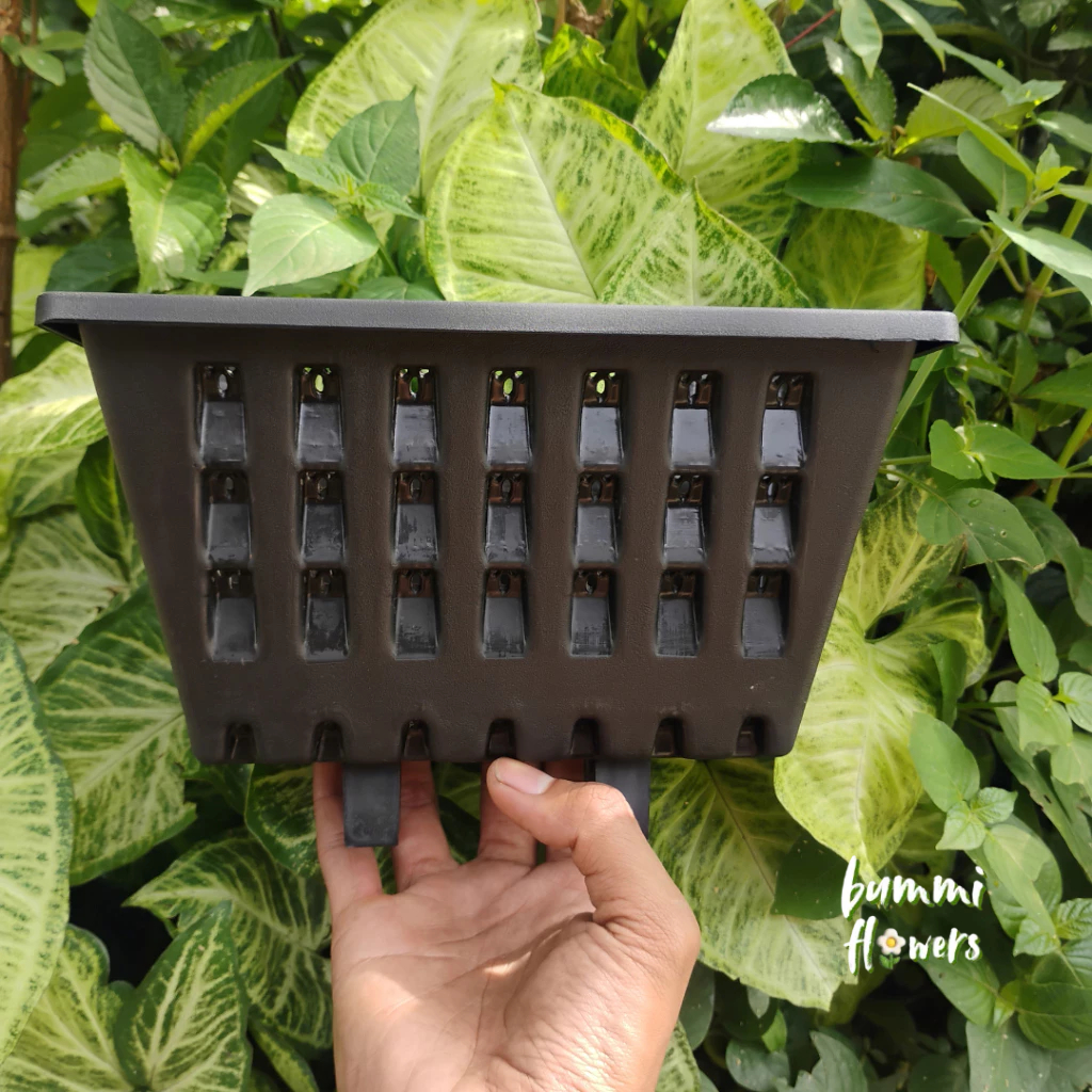 POT TEMPEL / POT DINDING ARGO HITAM / HARGA GROSIR