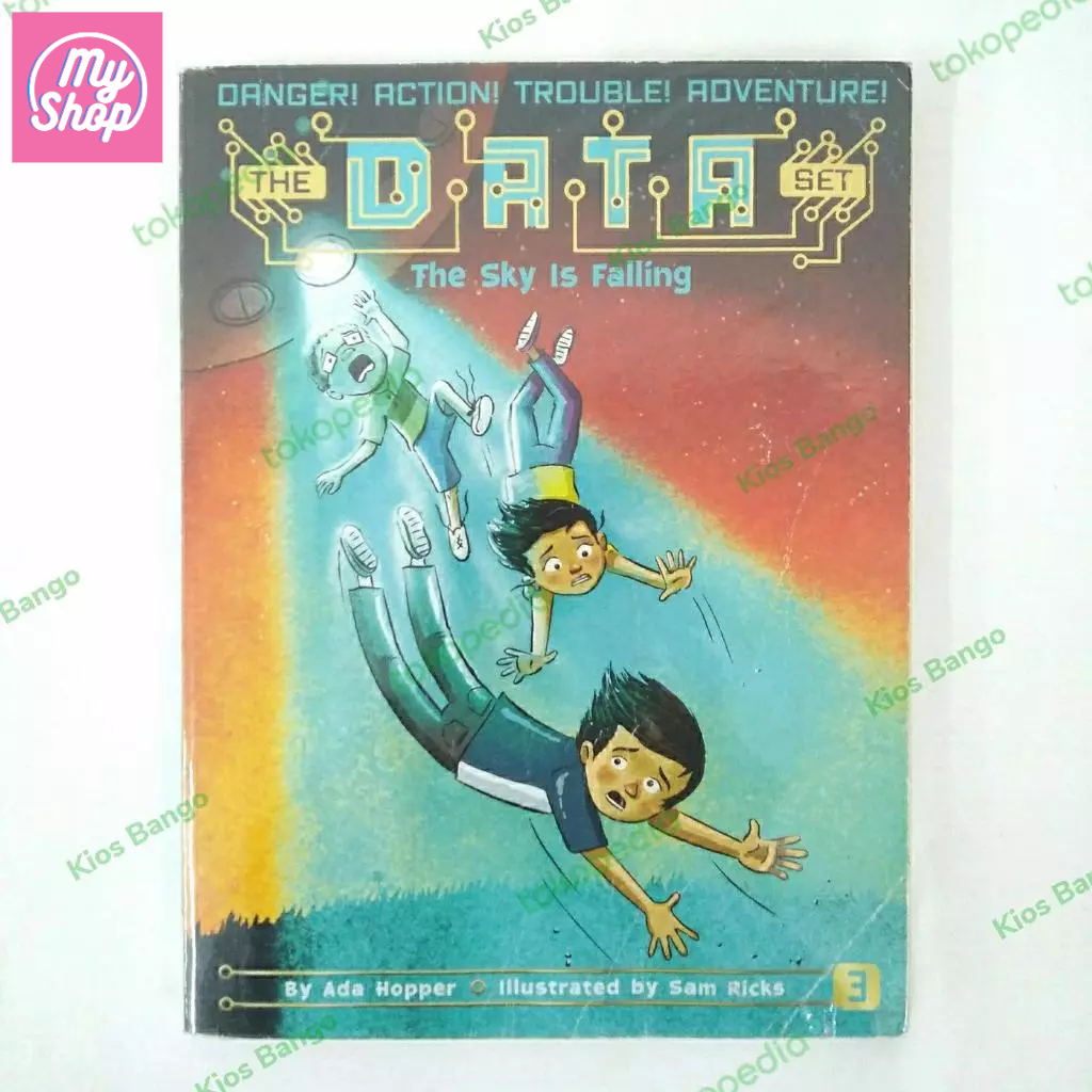 Buku The Sky is Falling